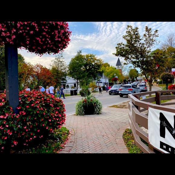 Meet your Posher, Ellaine - Picture 1 of 1